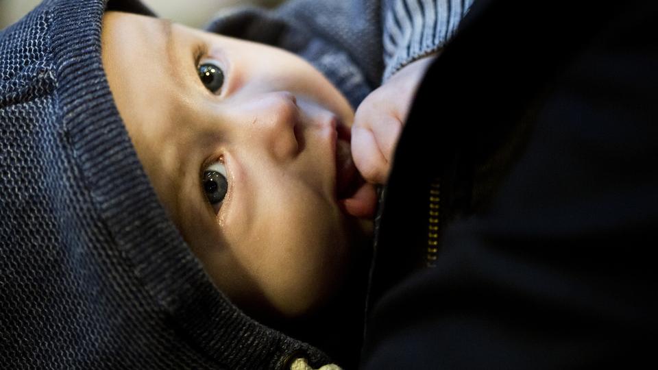 Jyske M dre Ammer Mindre Mens K benhavnerne G r Det Mere Politiken dk
